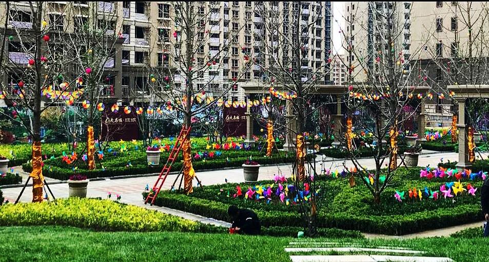 嫩叶草满18点此进