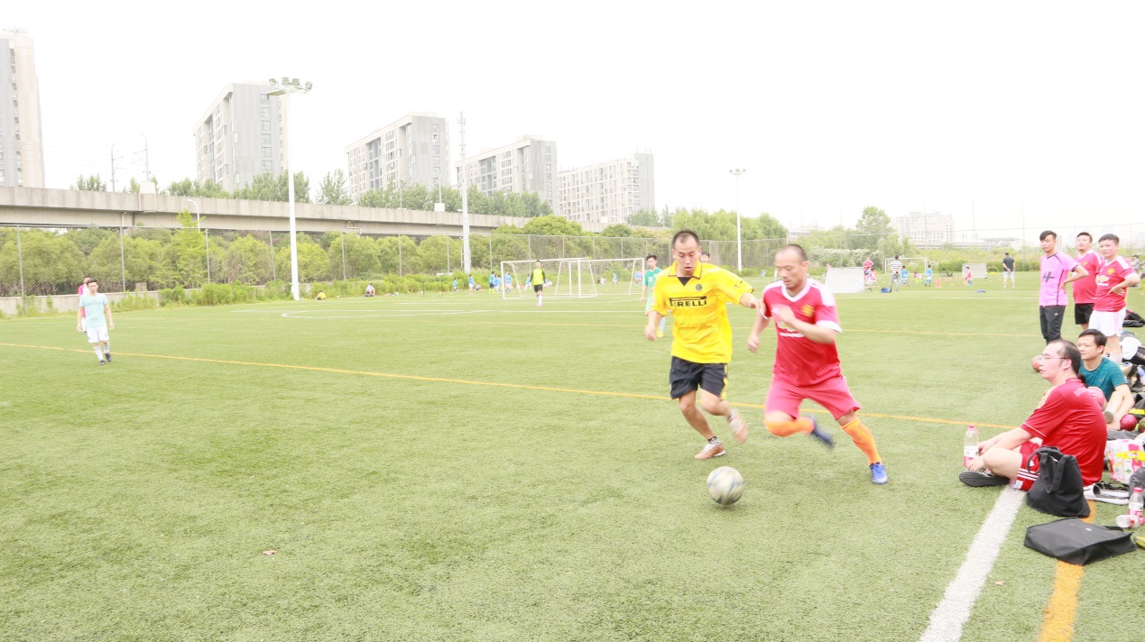 嫩叶草满18点此进