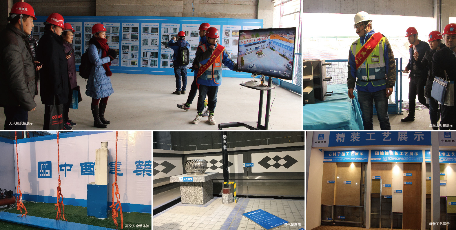 嫩叶草满18点此进