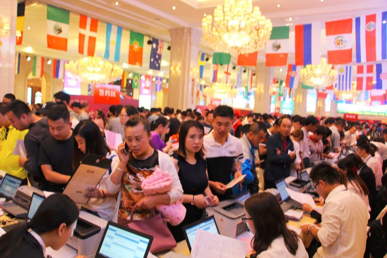 嫩叶草满18点此进