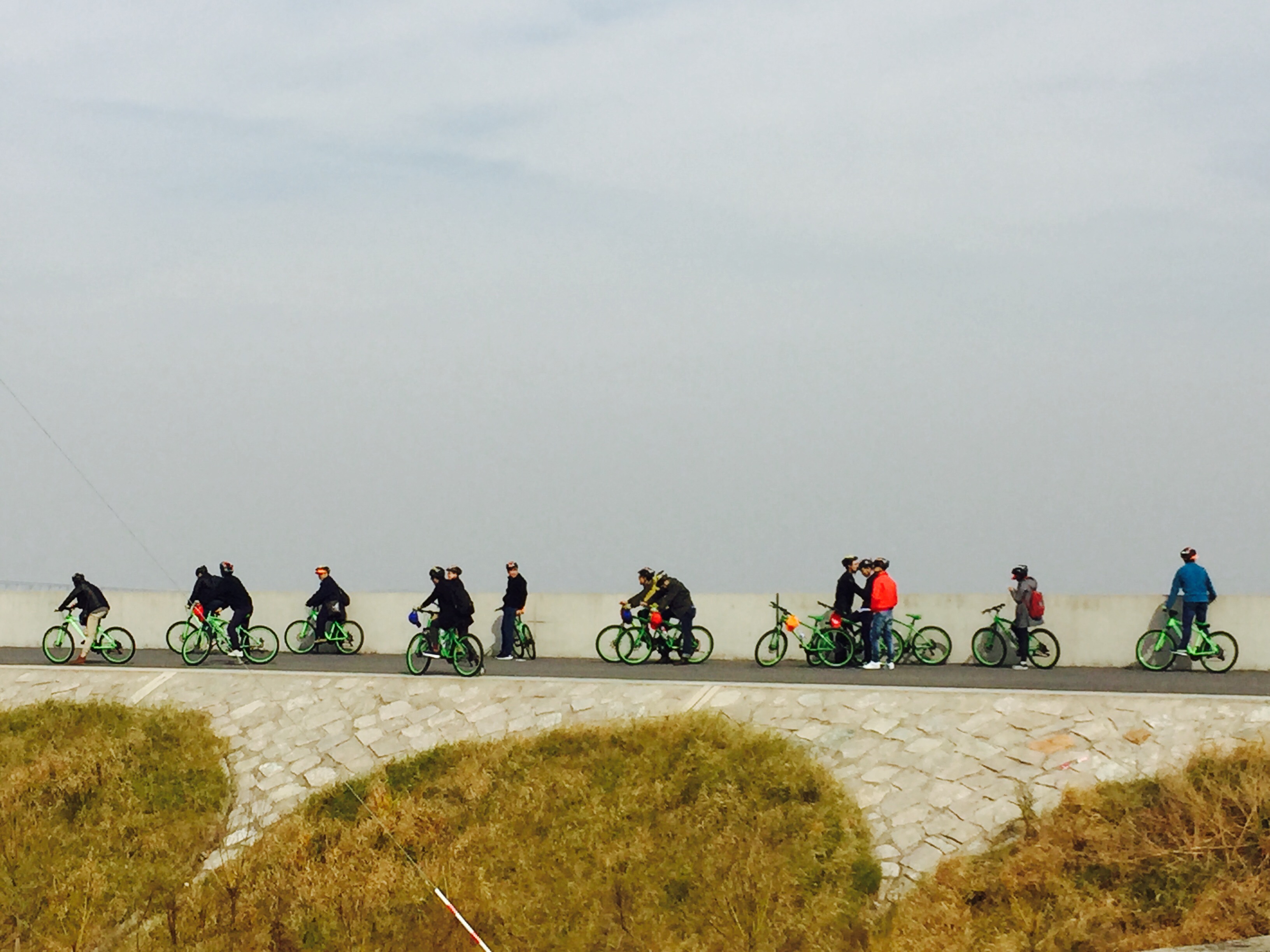 嫩叶草满18点此进