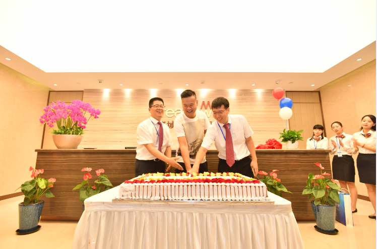 嫩叶草满18点此进