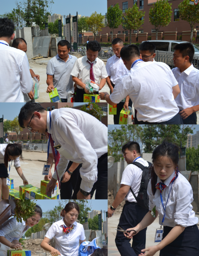 嫩叶草满18点此进