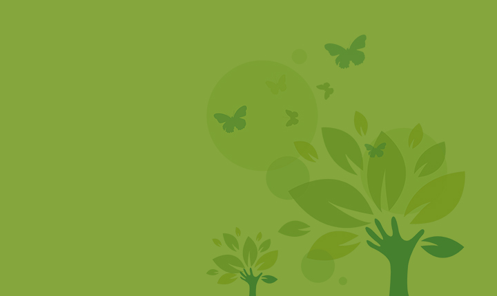 嫩叶草满18点此进