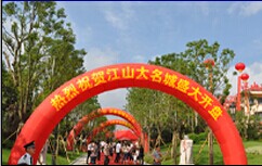 嫩叶草满18点此进