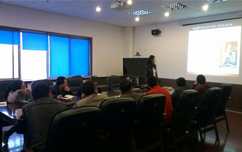 嫩叶草满18点此进