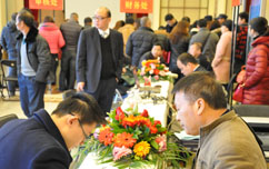 嫩叶草满18点此进