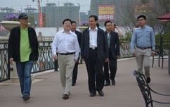 嫩叶草满18点此进