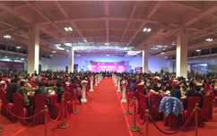 嫩叶草满18点此进