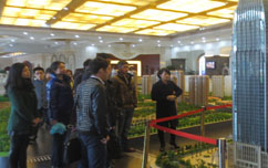 嫩叶草满18点此进