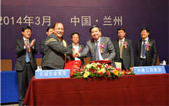 嫩叶草满18点此进