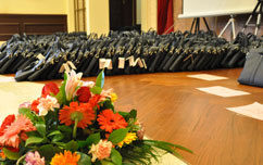 嫩叶草满18点此进