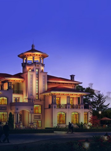 嫩叶草满18点此进