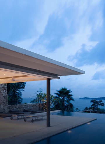 嫩叶草满18点此进