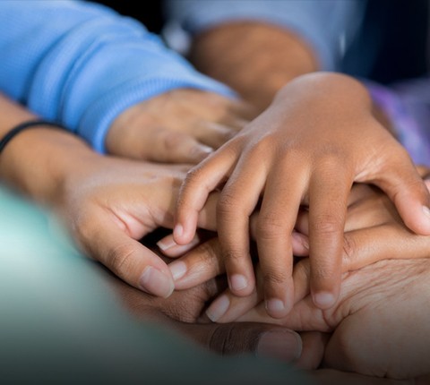 嫩叶草满18点此进