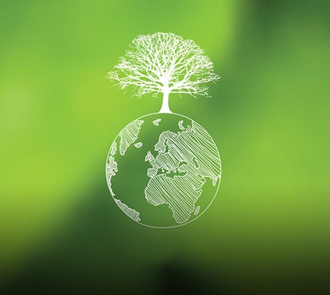 嫩叶草满18点此进