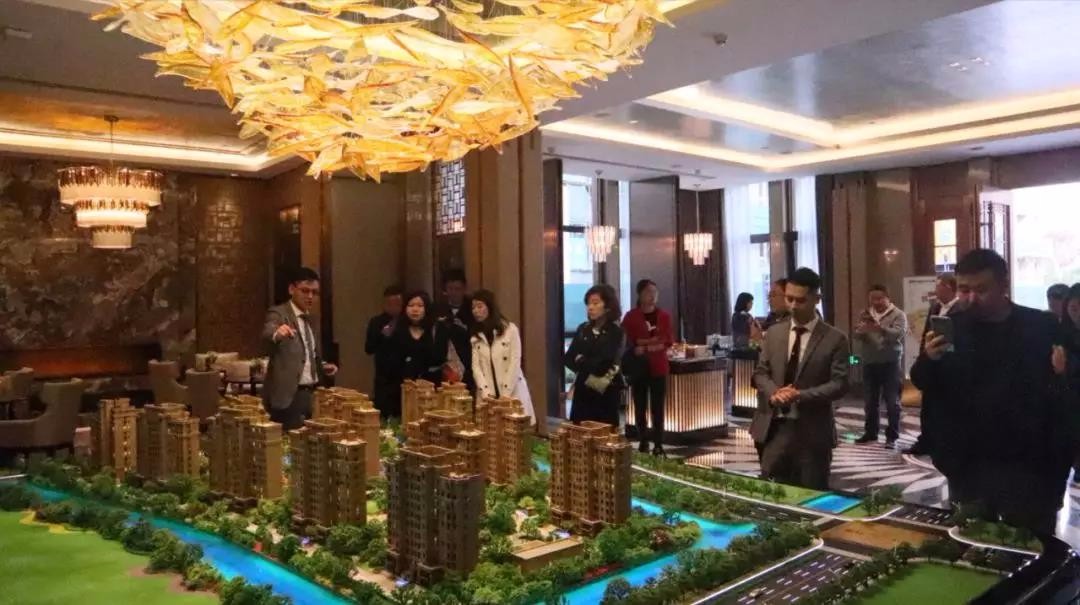 嫩叶草满18点此进