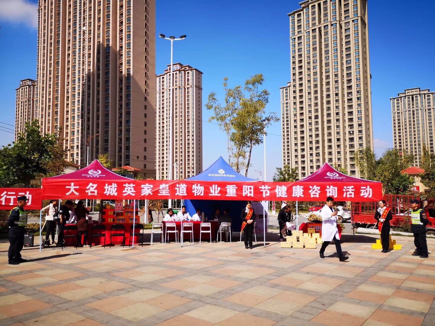 嫩叶草满18点此进