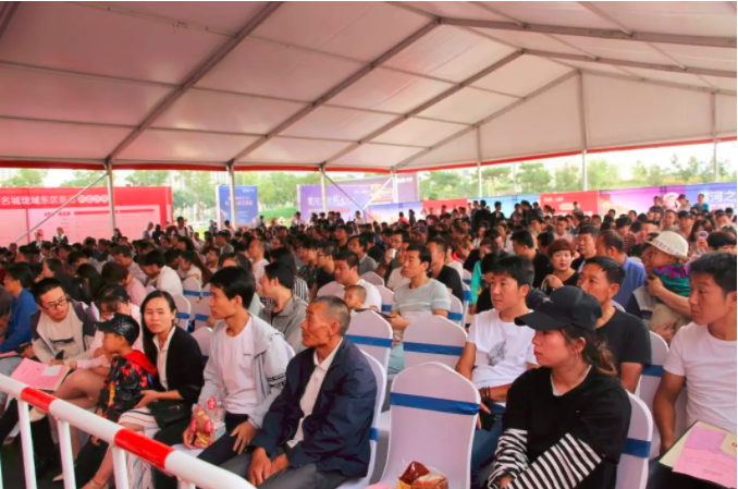 嫩叶草满18点此进