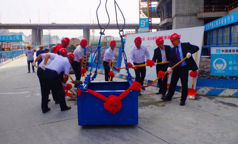 嫩叶草满18点此进