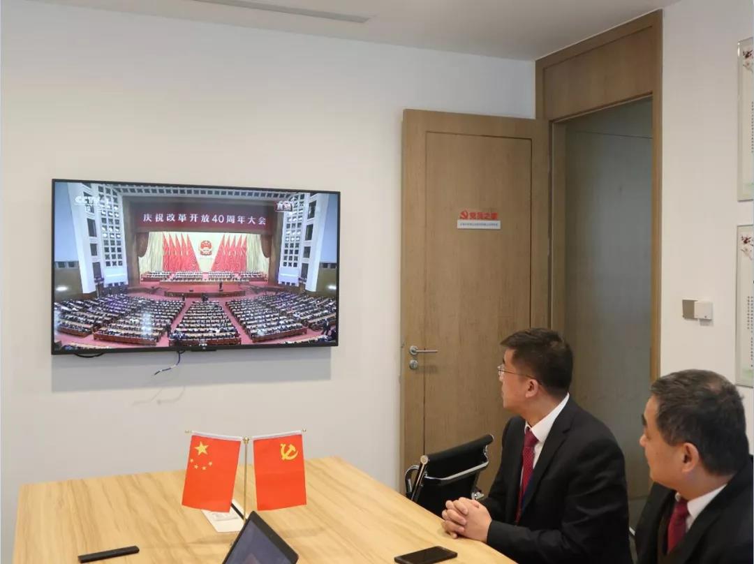 嫩叶草满18点此进