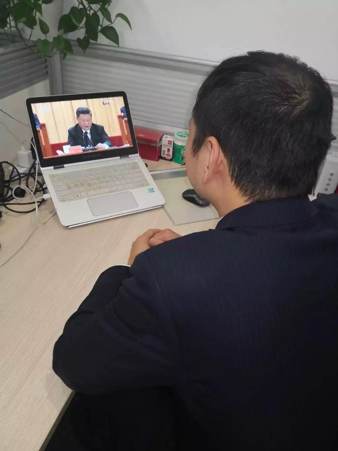 嫩叶草满18点此进