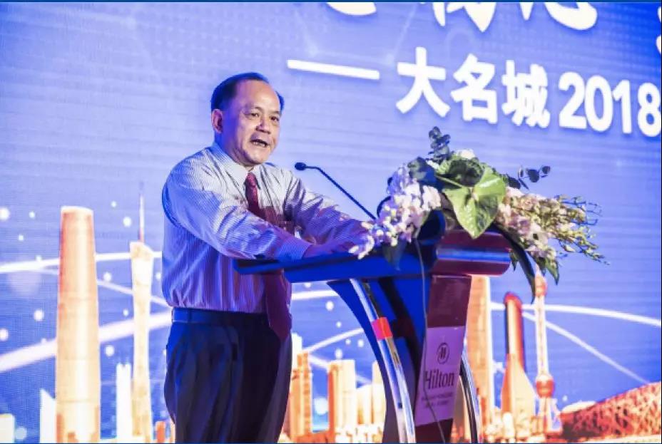 嫩叶草满18点此进