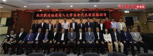 嫩叶草满18点此进