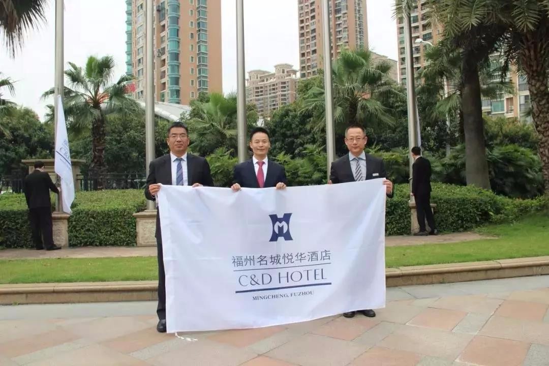 嫩叶草满18点此进