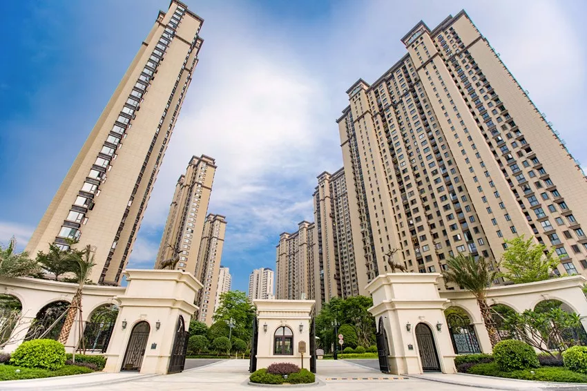 嫩叶草满18点此进