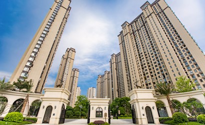 嫩叶草满18点此进