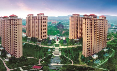 嫩叶草满18点此进