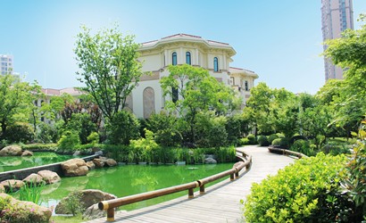 嫩叶草满18点此进