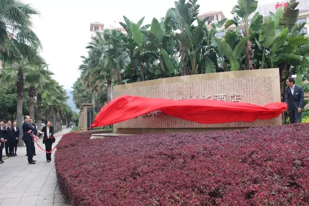 嫩叶草满18点此进