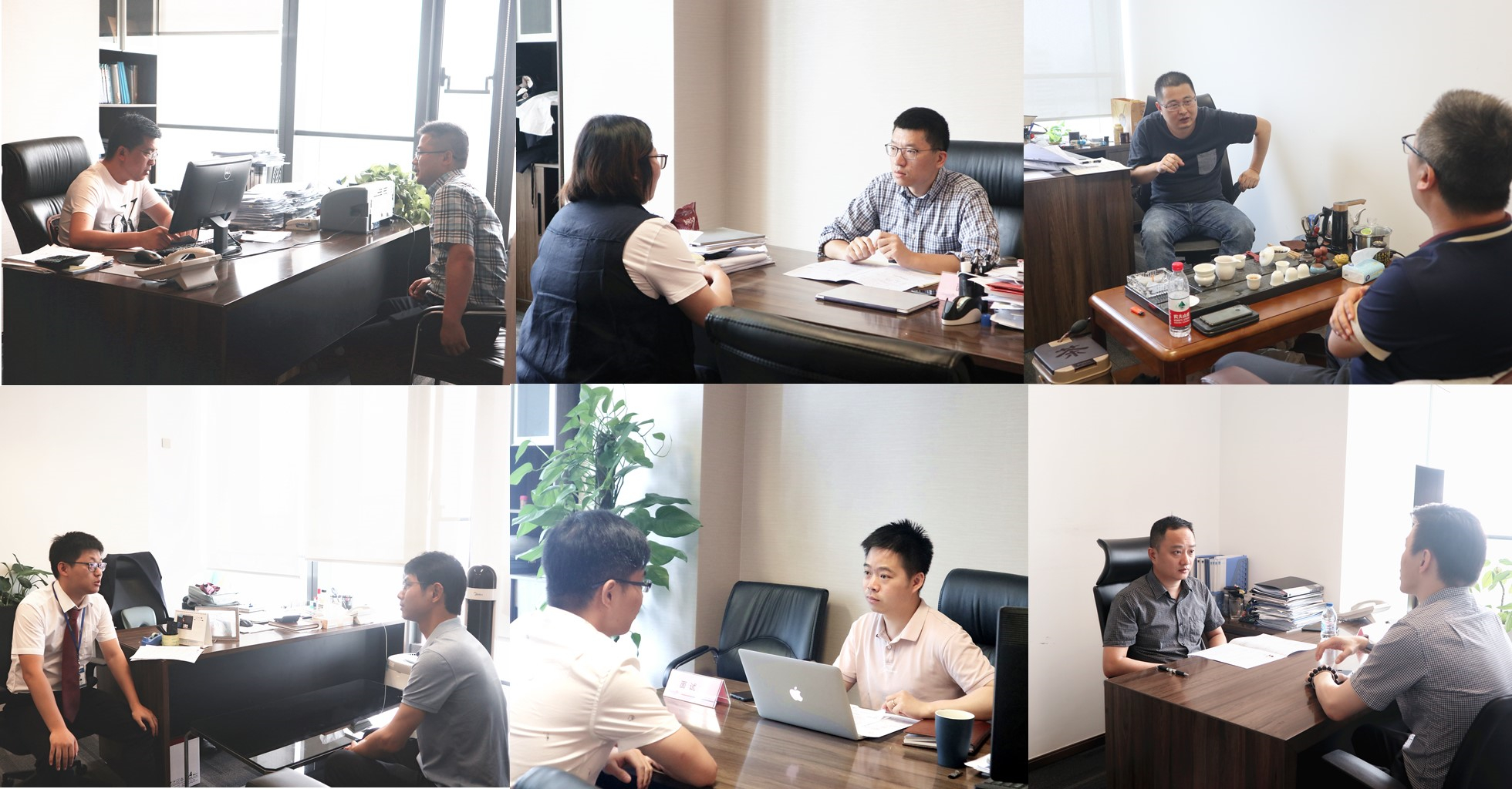 嫩叶草满18点此进