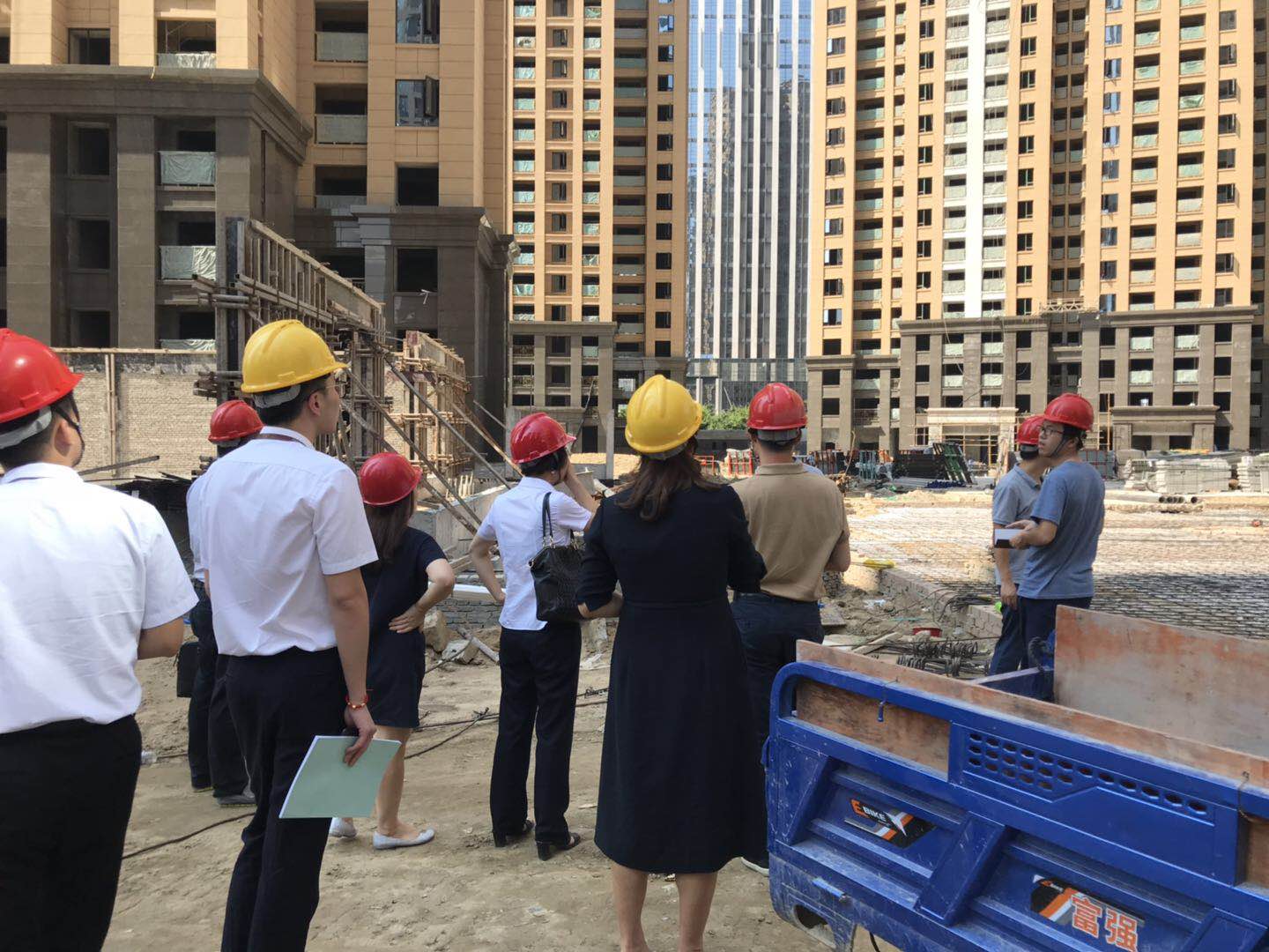 嫩叶草满18点此进