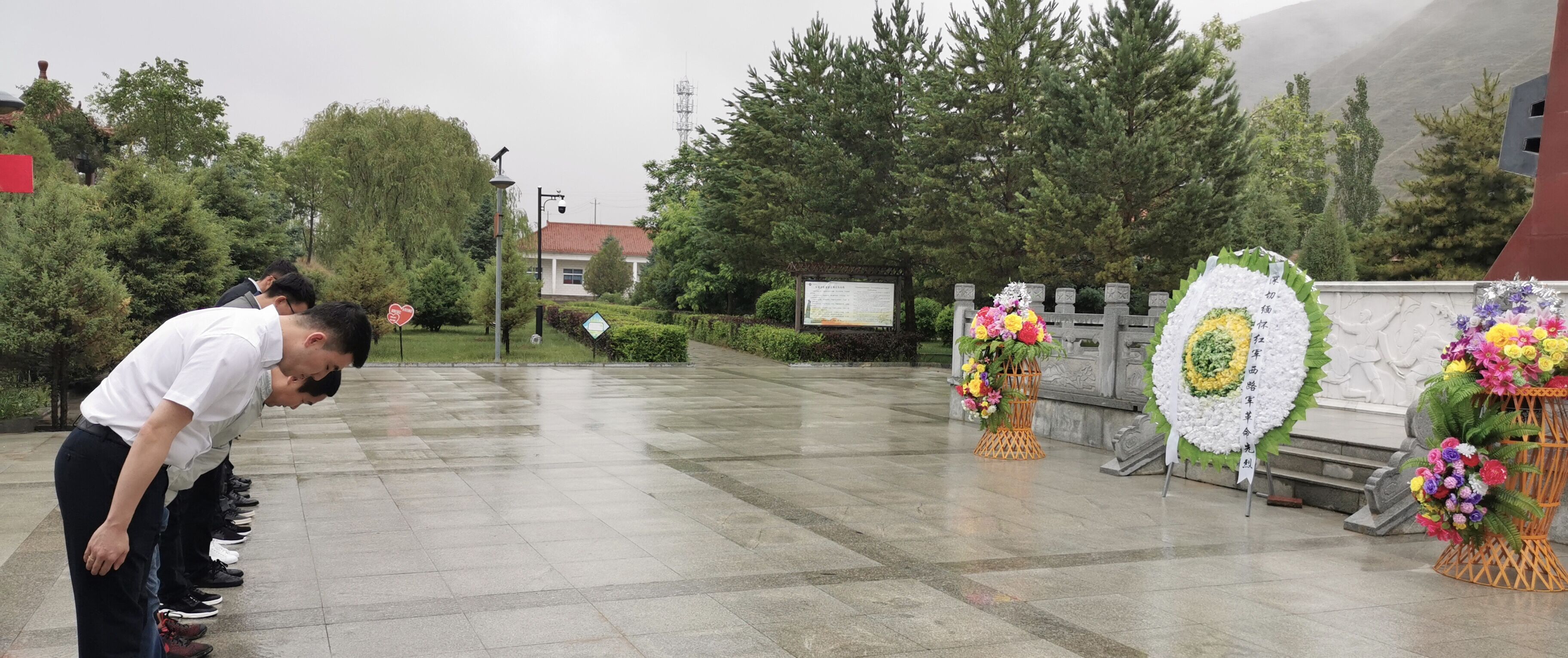 嫩叶草满18点此进