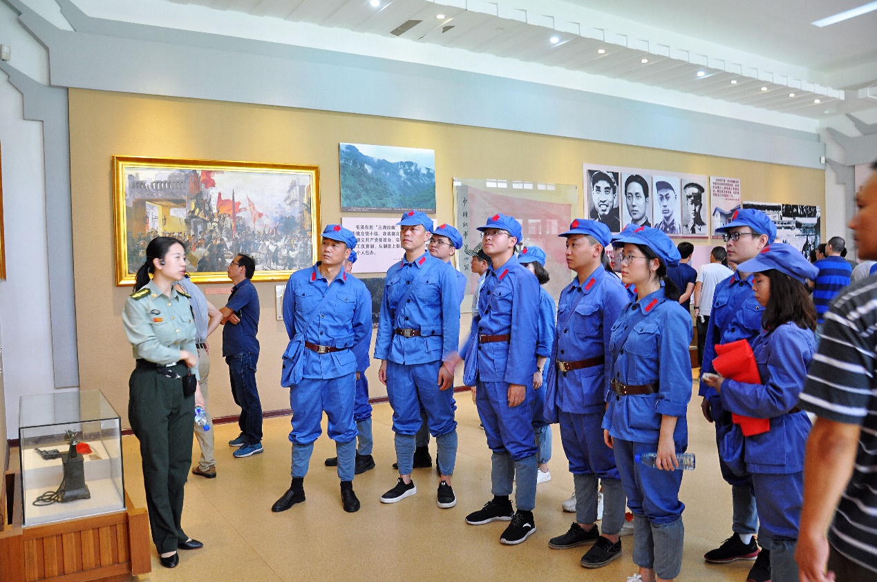 嫩叶草满18点此进