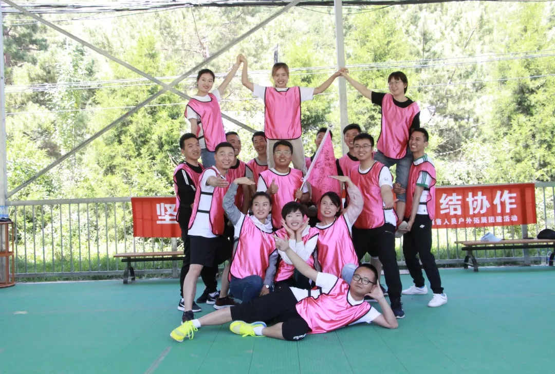 嫩叶草满18点此进