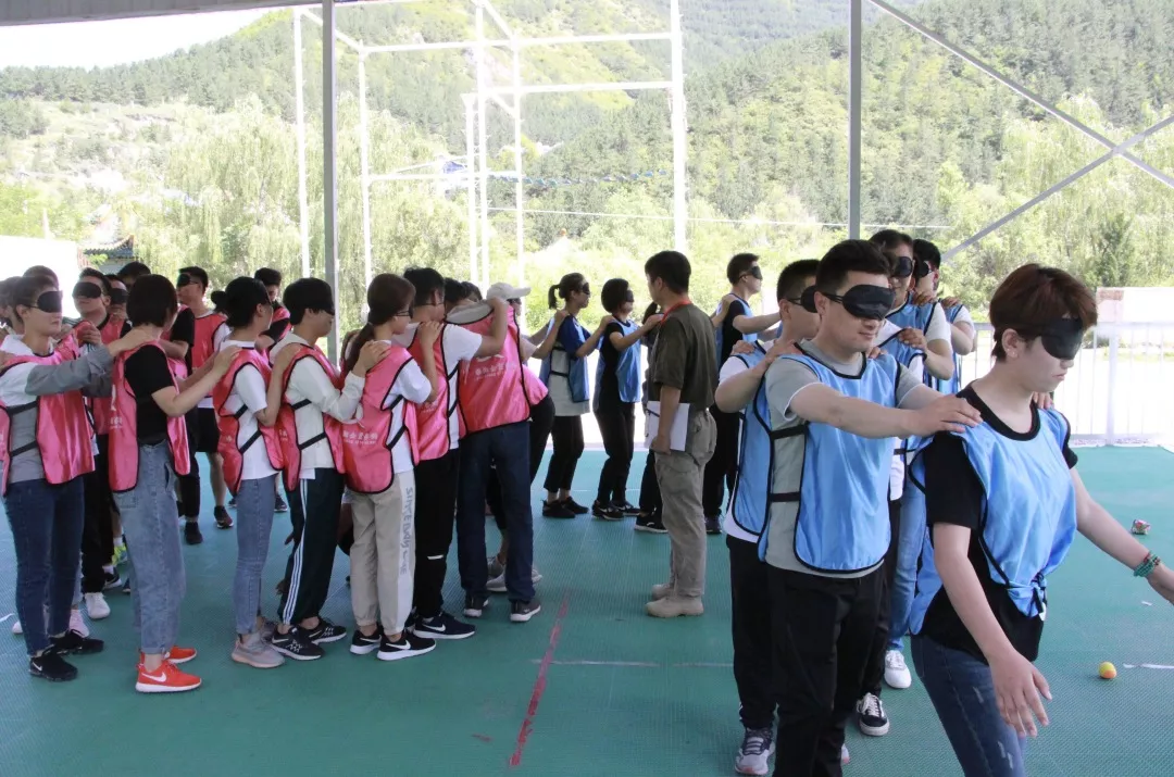 嫩叶草满18点此进