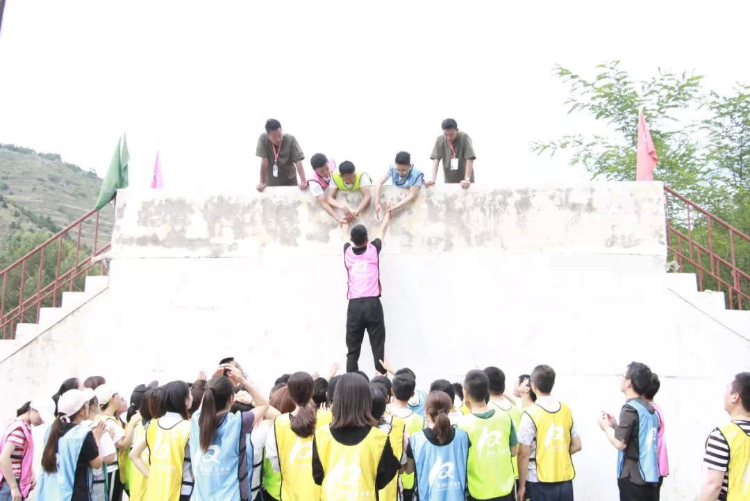 嫩叶草满18点此进