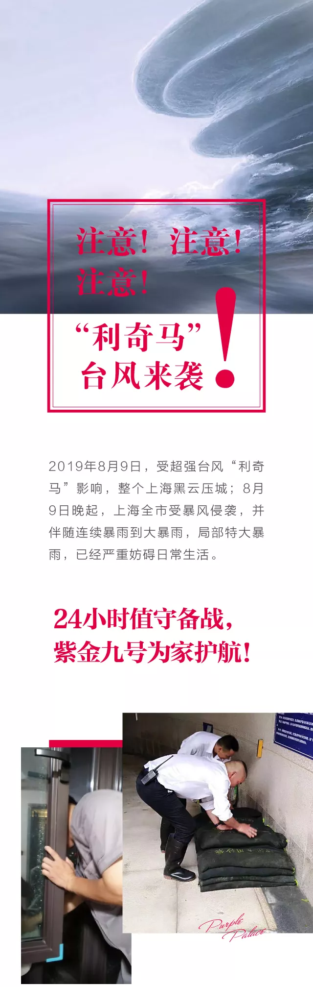 嫩叶草满18点此进