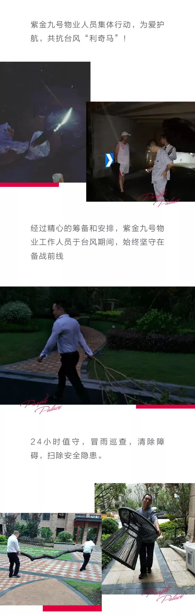 嫩叶草满18点此进