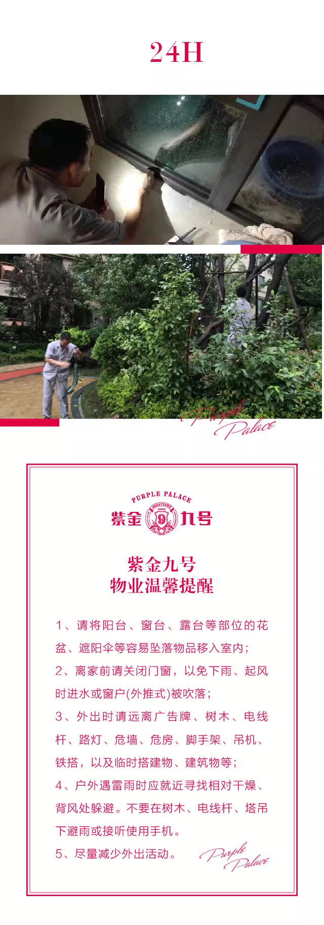 嫩叶草满18点此进