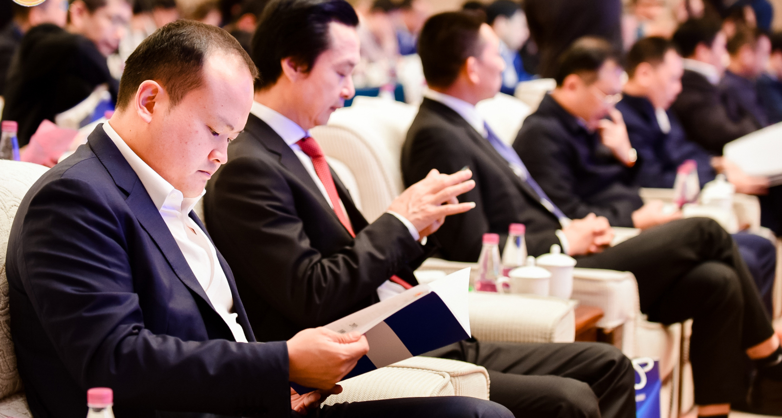 嫩叶草满18点此进