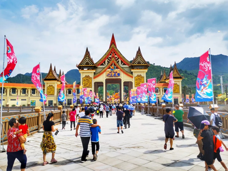 嫩叶草满18点此进