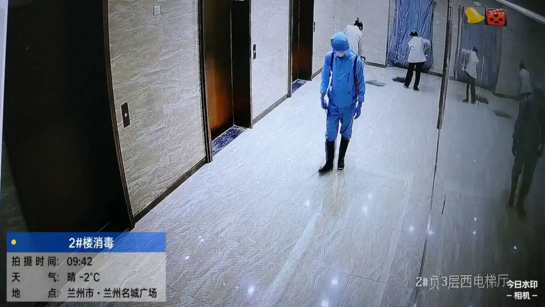 嫩叶草满18点此进