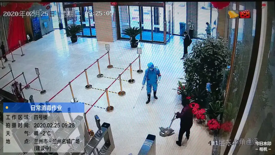 嫩叶草满18点此进