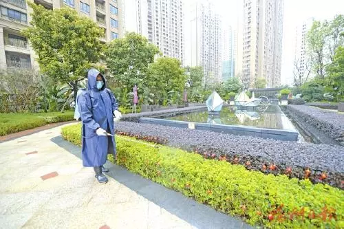 嫩叶草满18点此进