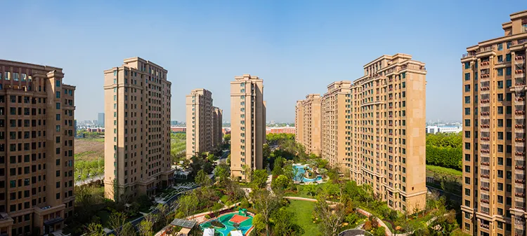 嫩叶草满18点此进